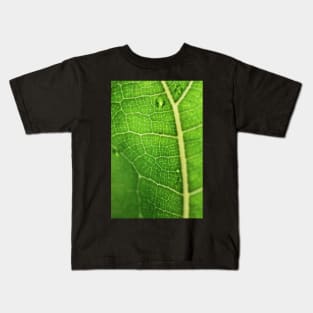Fiddle Leaf Ficus Kids T-Shirt